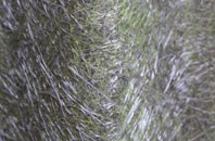 Hassop fibreglass roof work